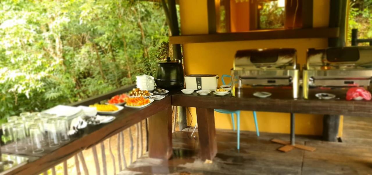 Explore Sinharaja Rain Forest Tour Camp All Inclusive Dombagoda Extérieur photo