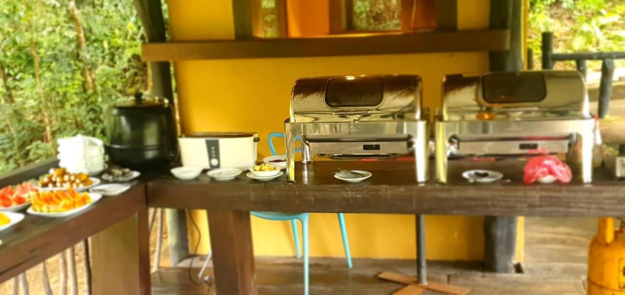 Explore Sinharaja Rain Forest Tour Camp All Inclusive Dombagoda Extérieur photo
