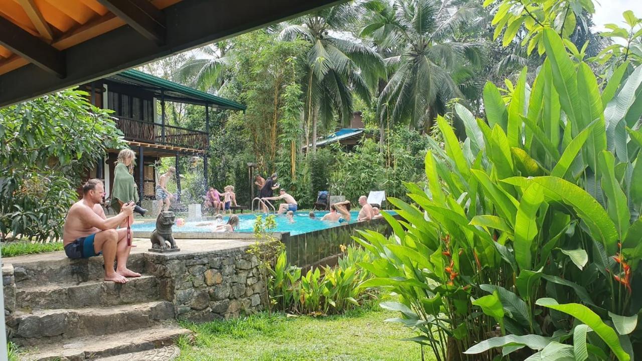 Explore Sinharaja Rain Forest Tour Camp All Inclusive Dombagoda Extérieur photo