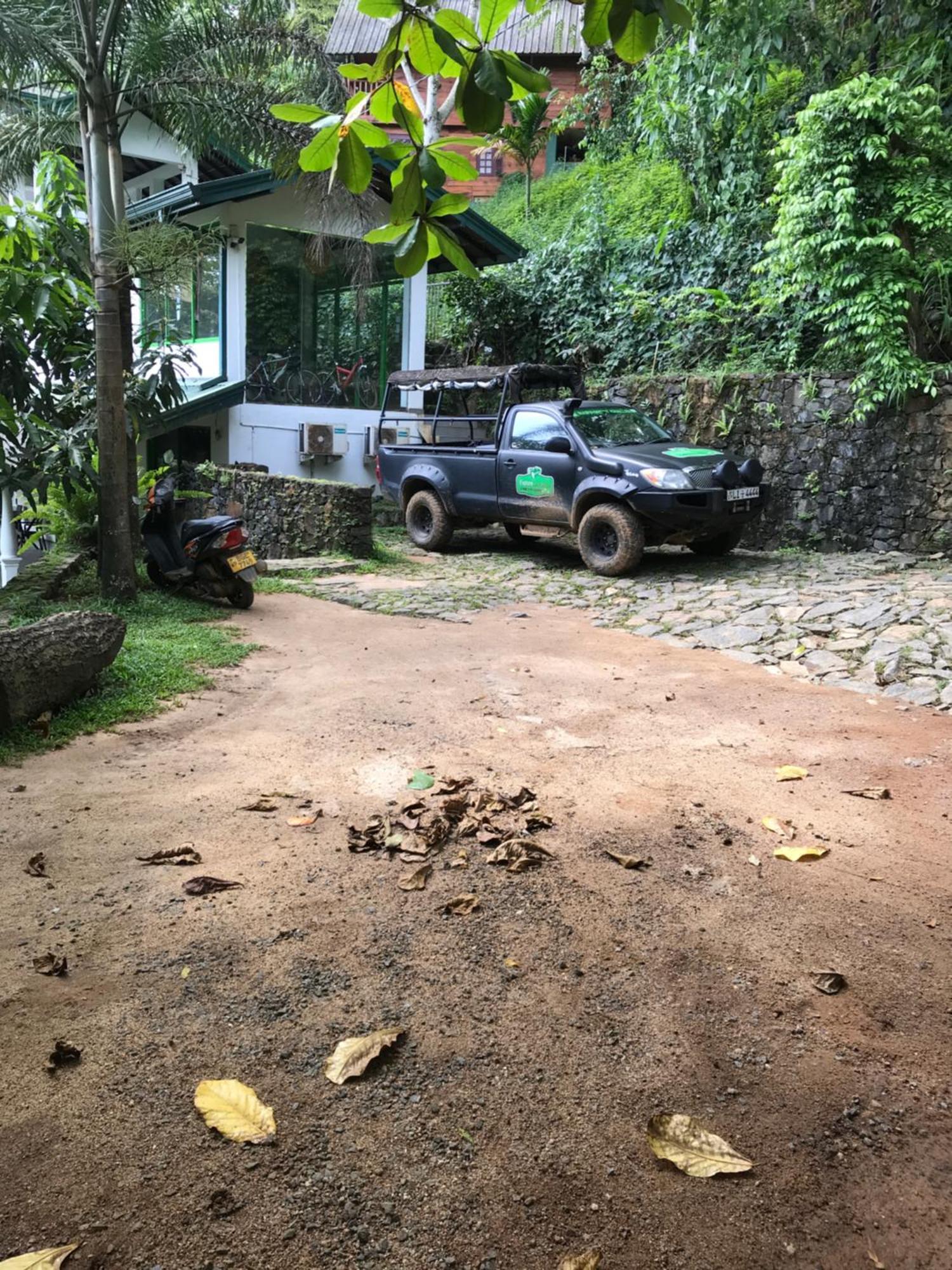 Explore Sinharaja Rain Forest Tour Camp All Inclusive Dombagoda Extérieur photo