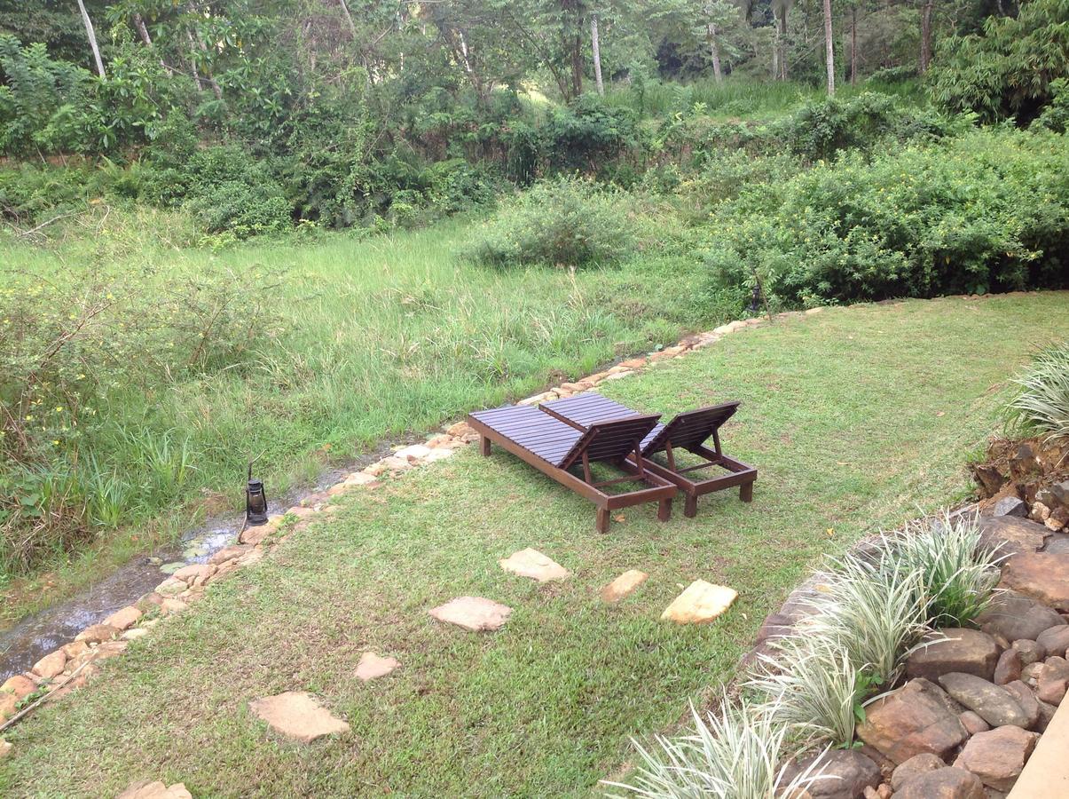 Explore Sinharaja Rain Forest Tour Camp All Inclusive Dombagoda Extérieur photo