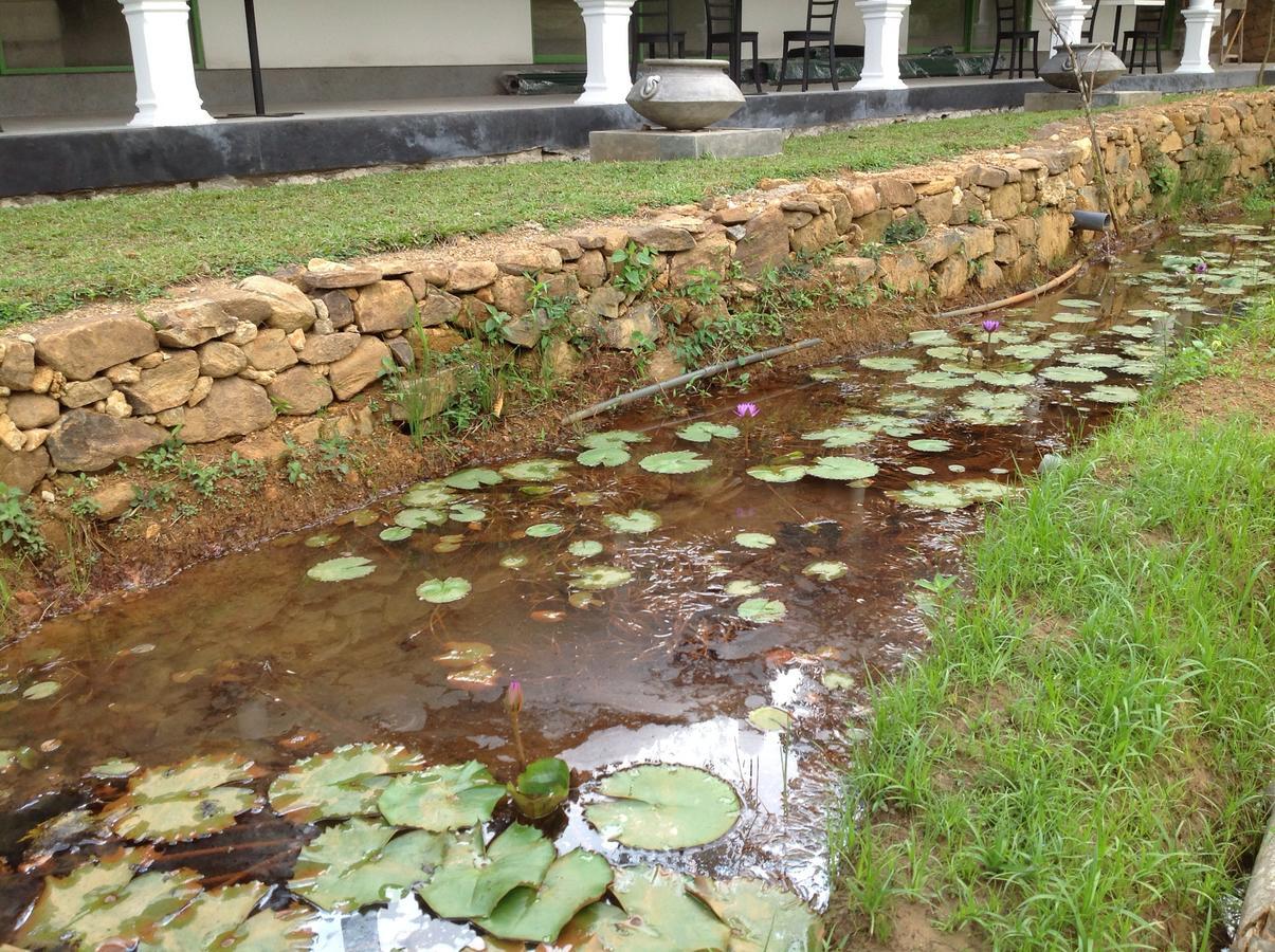 Explore Sinharaja Rain Forest Tour Camp All Inclusive Dombagoda Extérieur photo