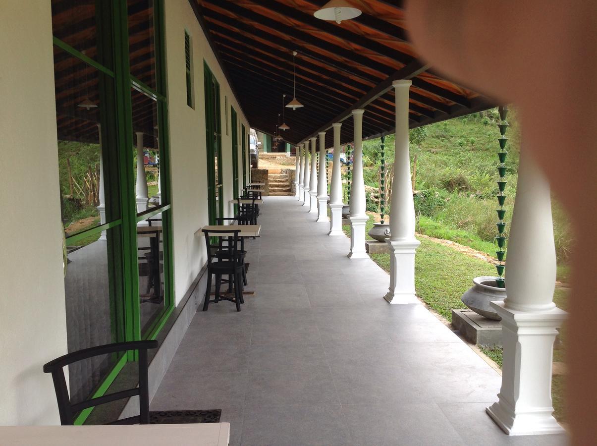 Explore Sinharaja Rain Forest Tour Camp All Inclusive Dombagoda Extérieur photo