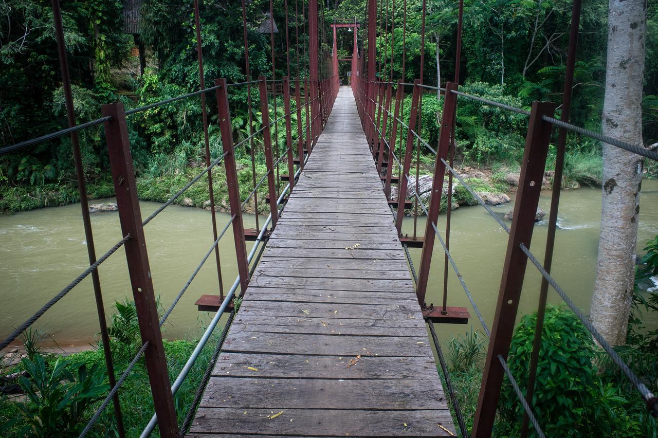 Explore Sinharaja Rain Forest Tour Camp All Inclusive Dombagoda Extérieur photo