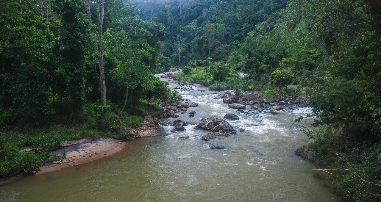 Explore Sinharaja Rain Forest Tour Camp All Inclusive Dombagoda Extérieur photo