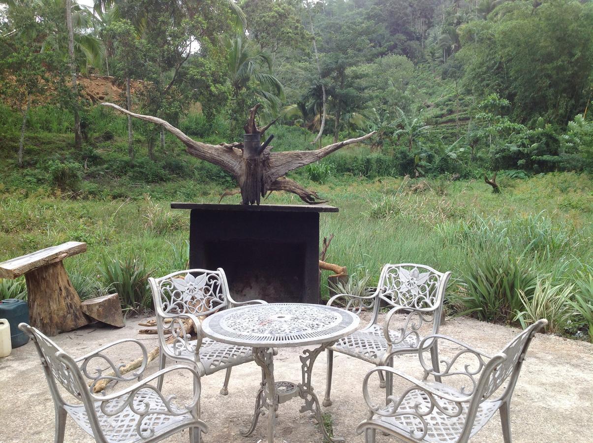 Explore Sinharaja Rain Forest Tour Camp All Inclusive Dombagoda Extérieur photo