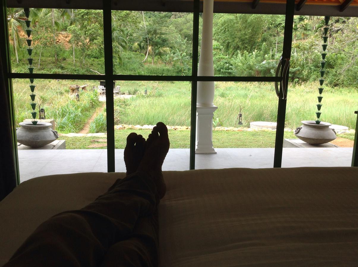 Explore Sinharaja Rain Forest Tour Camp All Inclusive Dombagoda Extérieur photo