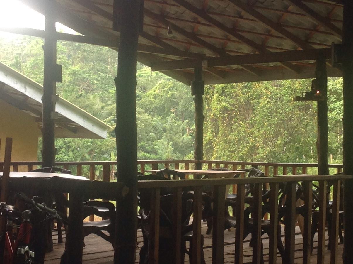 Explore Sinharaja Rain Forest Tour Camp All Inclusive Dombagoda Extérieur photo