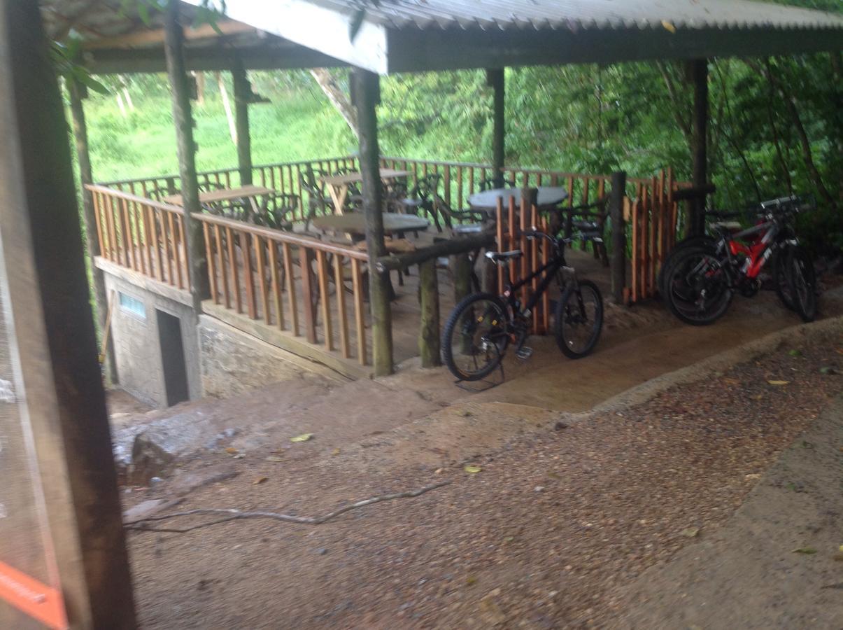 Explore Sinharaja Rain Forest Tour Camp All Inclusive Dombagoda Extérieur photo
