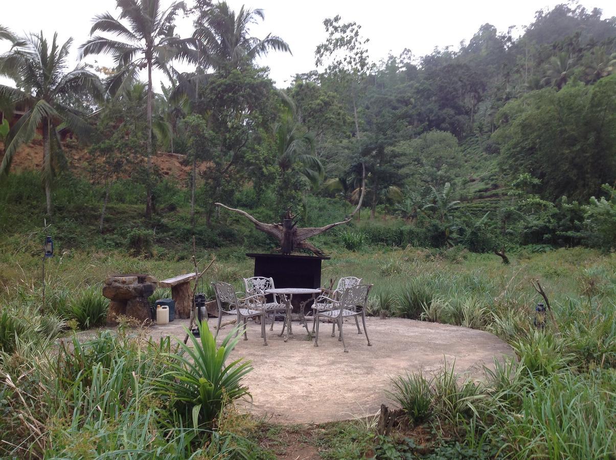 Explore Sinharaja Rain Forest Tour Camp All Inclusive Dombagoda Extérieur photo