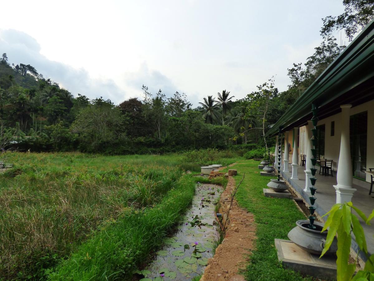 Explore Sinharaja Rain Forest Tour Camp All Inclusive Dombagoda Extérieur photo