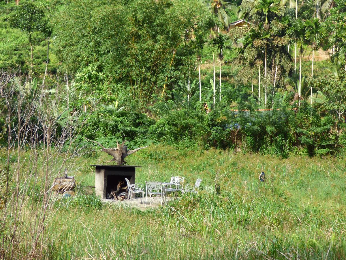 Explore Sinharaja Rain Forest Tour Camp All Inclusive Dombagoda Extérieur photo