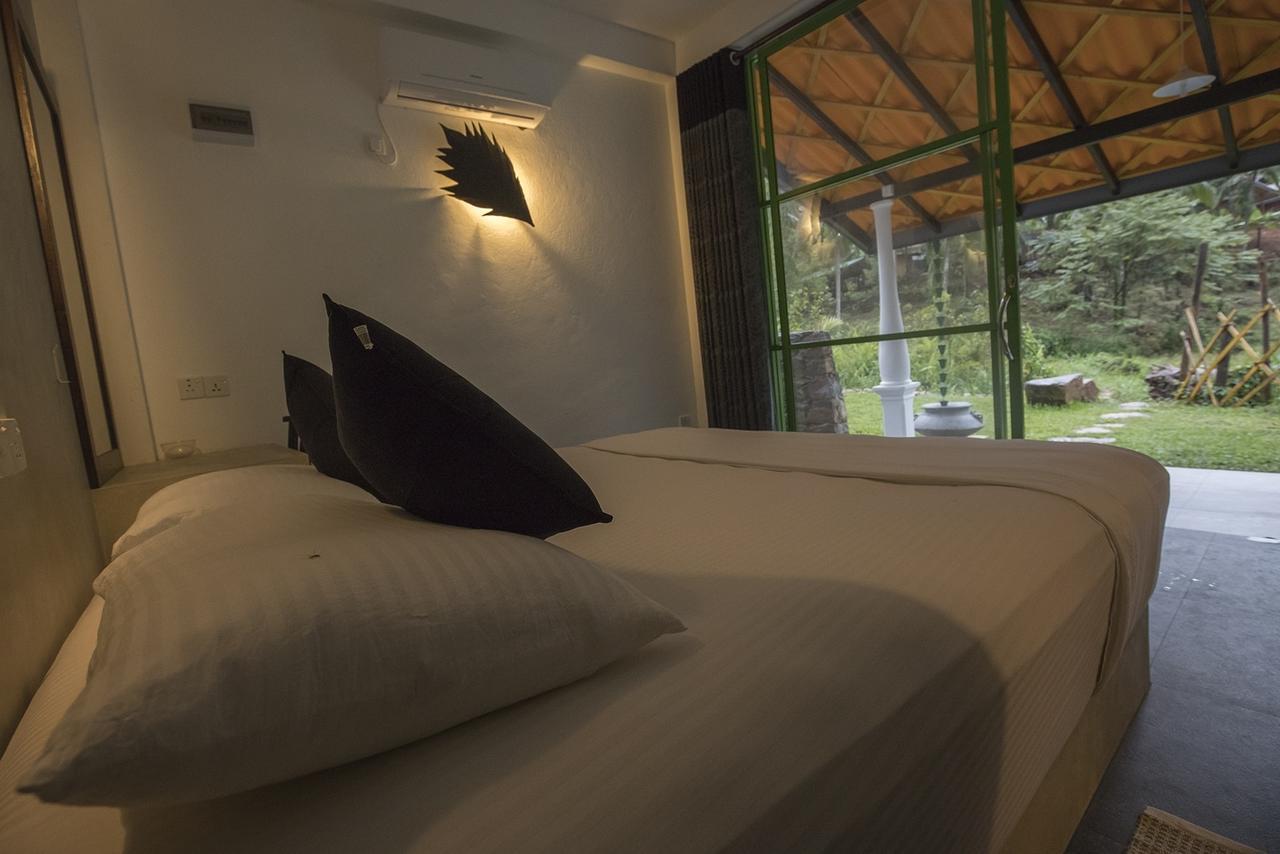 Explore Sinharaja Rain Forest Tour Camp All Inclusive Dombagoda Extérieur photo