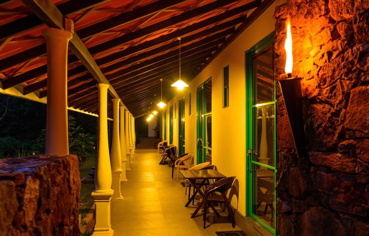Explore Sinharaja Rain Forest Tour Camp All Inclusive Dombagoda Extérieur photo