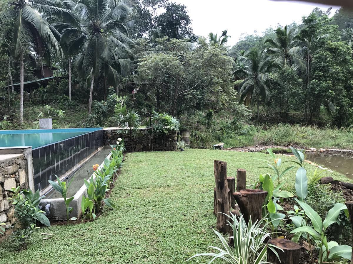 Explore Sinharaja Rain Forest Tour Camp All Inclusive Dombagoda Extérieur photo