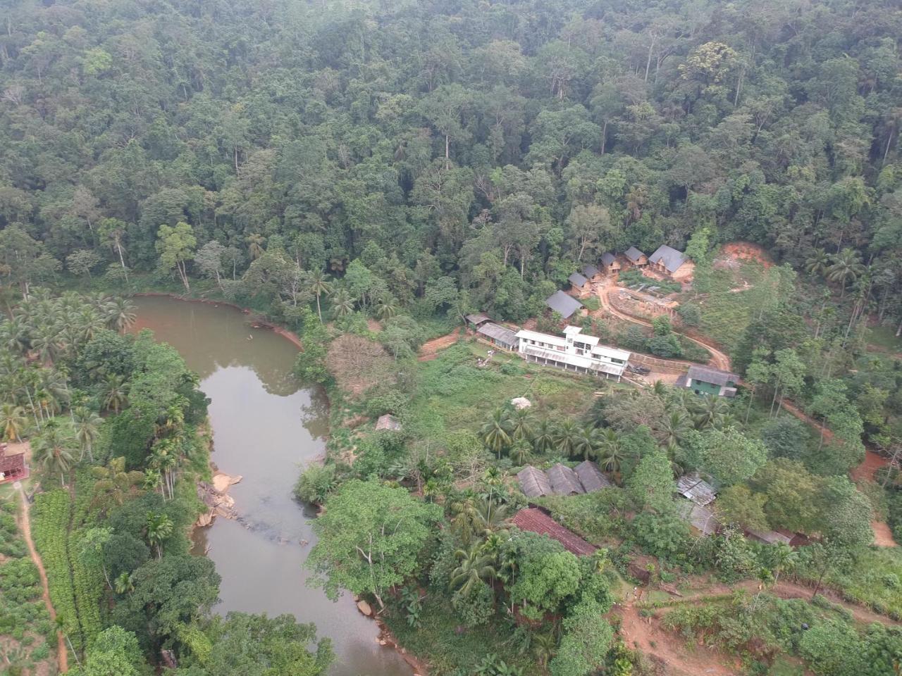 Explore Sinharaja Rain Forest Tour Camp All Inclusive Dombagoda Extérieur photo