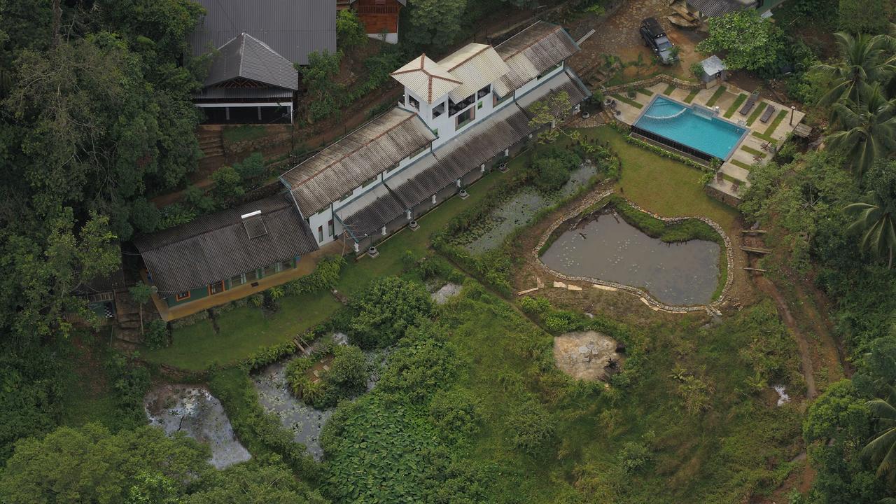 Explore Sinharaja Rain Forest Tour Camp All Inclusive Dombagoda Extérieur photo