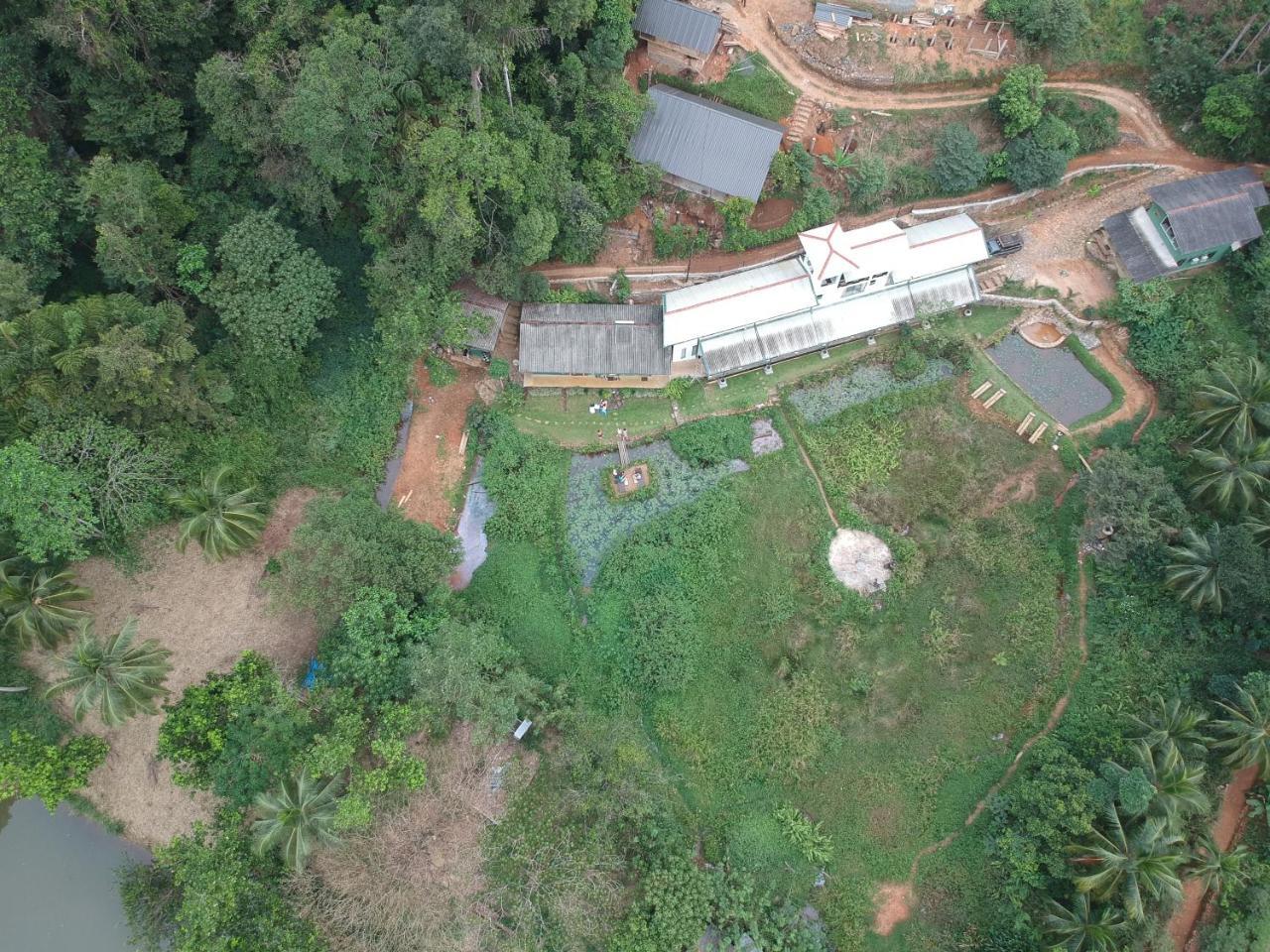Explore Sinharaja Rain Forest Tour Camp All Inclusive Dombagoda Extérieur photo